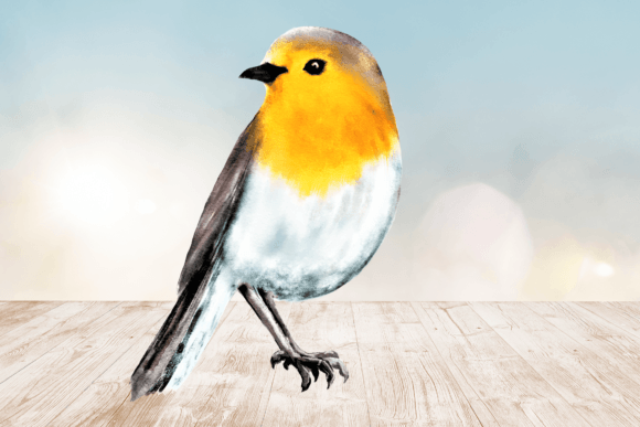 Download Watercolor Robin Bird Clipart Png 3 - Png Collection
