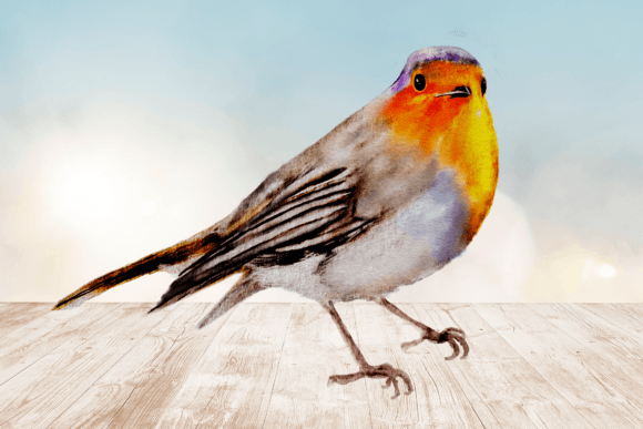 Download Watercolor Robin Bird Clipart Png 2 - Png Collection