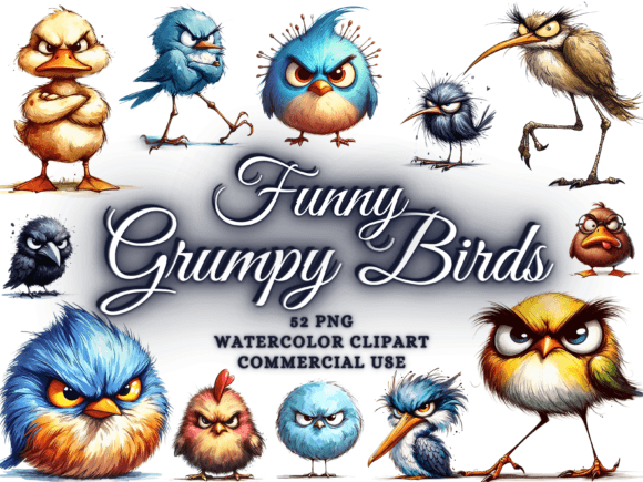 Download Funny Grumpy Bird Clipart Funny Bird Png - Png Collection
