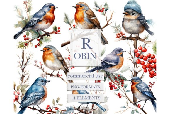 Download Watercolor Robin Bird Clipart, Robin Png - Png Collection