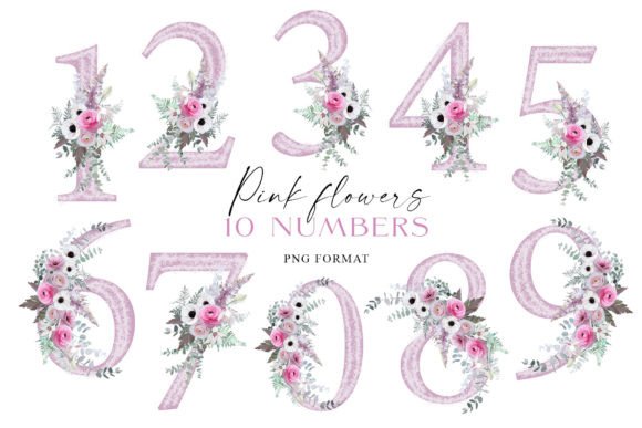 Download Pink Flowers Individual Numbers PNG - Png Collection