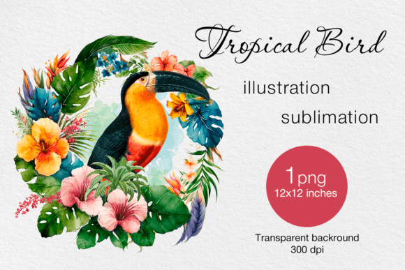 Download Tropical Bird Watercolor PNG Print - Png Collection