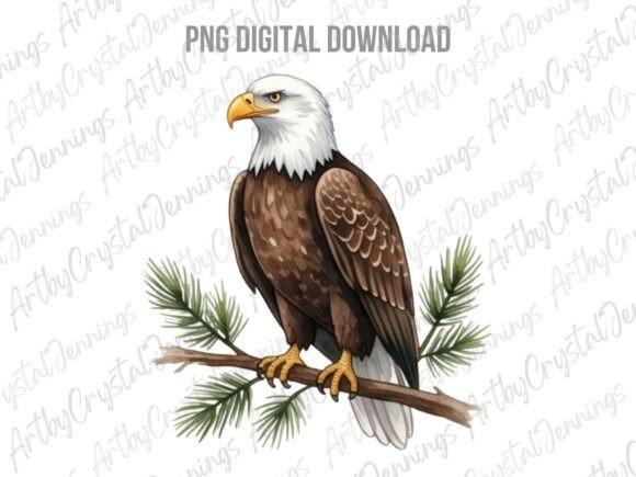 Download American Bald Eagle Bird PNG - Png Collection