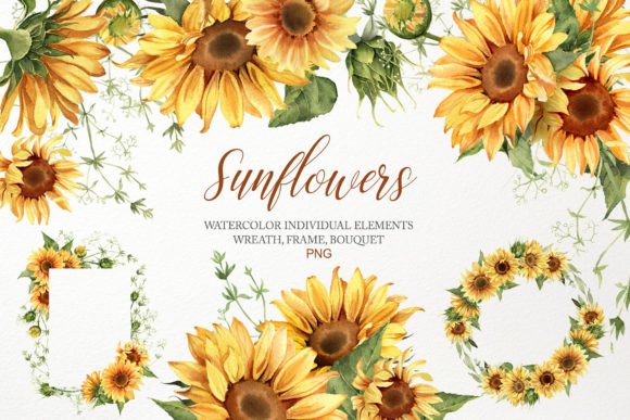 Download Watercolor Sunflower Clipart Bouquet PNG - Png Collection