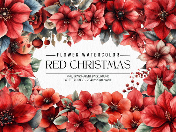Download Red Christmas Watercolor Flowers - Premium Resources