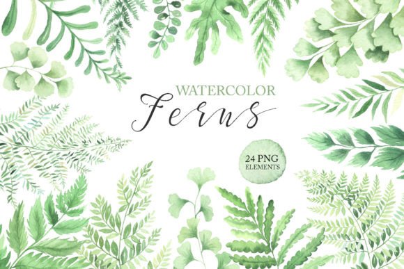 Download Watercolor Fern Green Leaves Clipart PNG - Png Collection