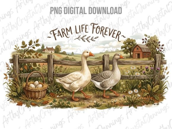 Download Country Farm Life Forever Geese PNG - Png Collection