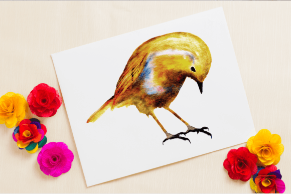 Download Watercolor Robin Bird Clipart Png - Png Collection